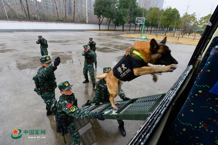 新澳门精准资料期期精准最全，最新数据解读：韩国瑜痛批民进党执政3年毫无作为　吁选民用选票救中小企业  